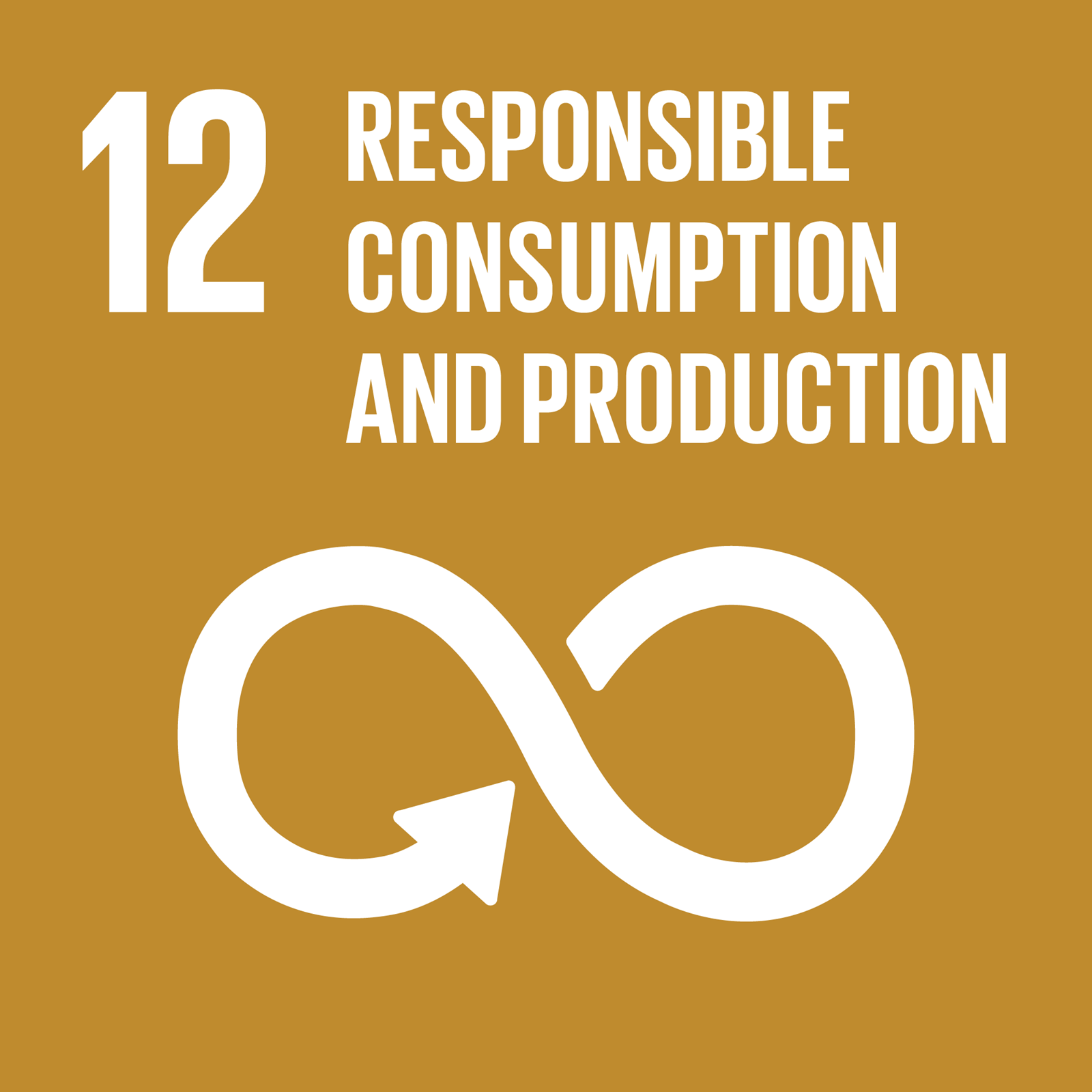 UN Global Goal 12: Responsible consumption and production